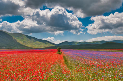 Castelluccio-05