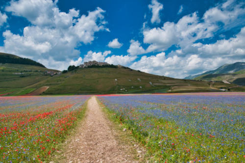 Castelluccio-06