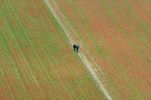 Castelluccio-07