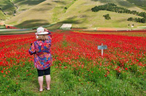 Castelluccio 01